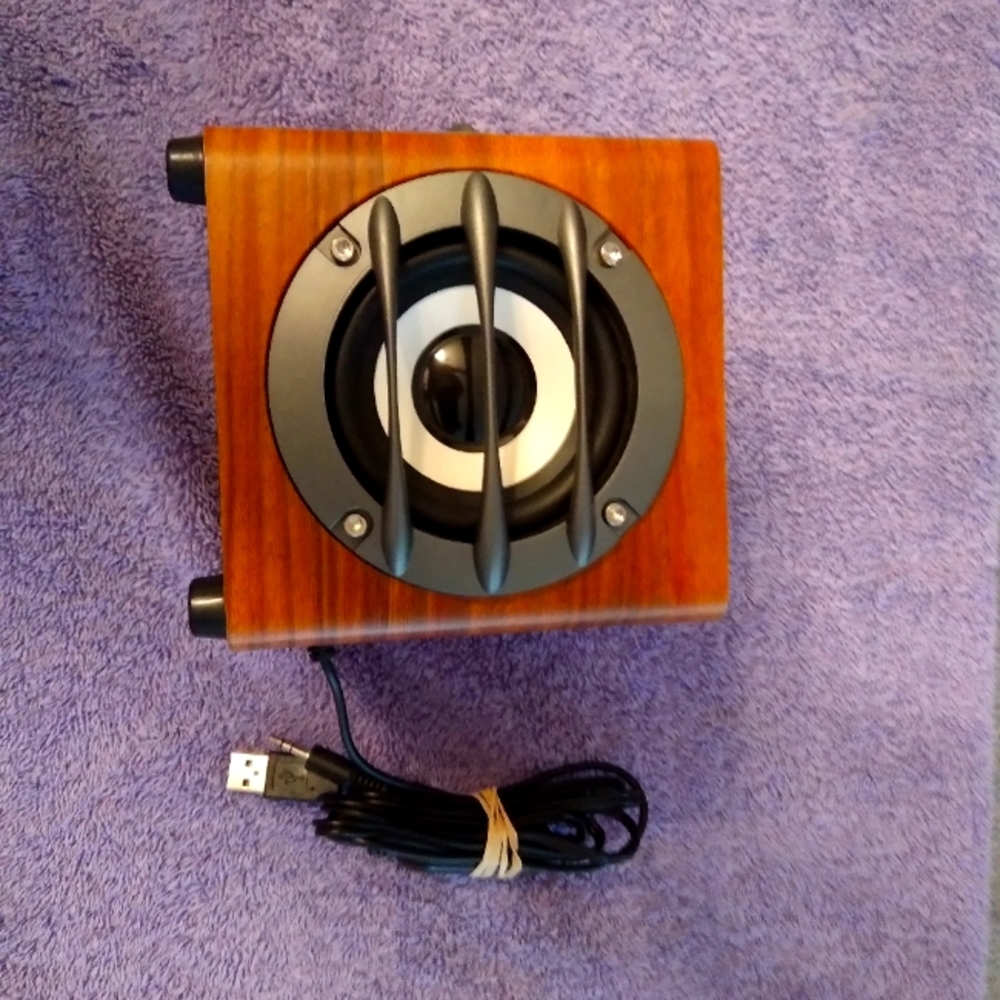 Wooden Jelich Speaker